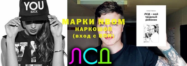 apvp Горнозаводск
