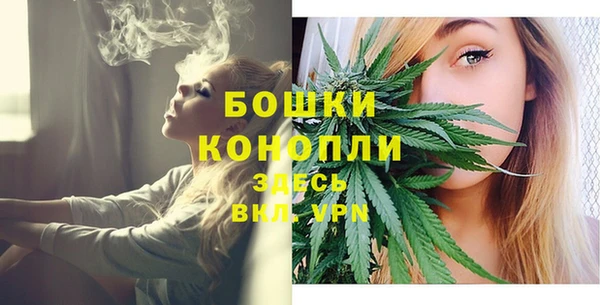 apvp Горнозаводск