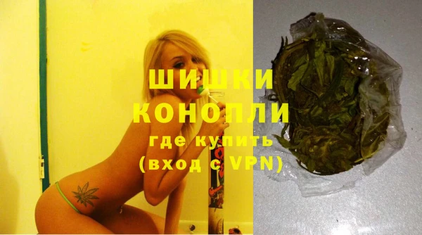 apvp Горнозаводск